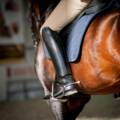 Fähigkeiten im Pferderennsport, die Sie definitiv vermissen